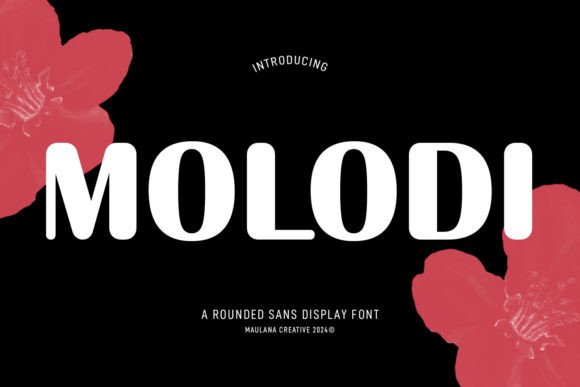 Molodi Typeface for Friendly Branding